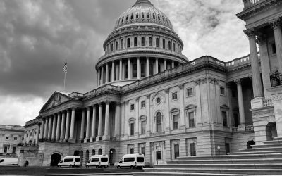 Democrats Launch Bill to Reunite All Separated Immigrant Families ‘Immediately’ Using ICE Funds