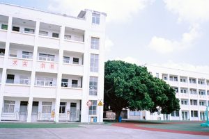 White buildings with a large green tree between them.